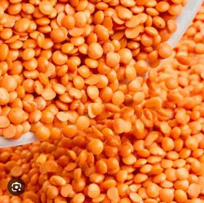 मसूर दाल 100g